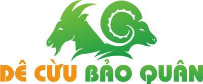 Dê Cừu Bảo Quân